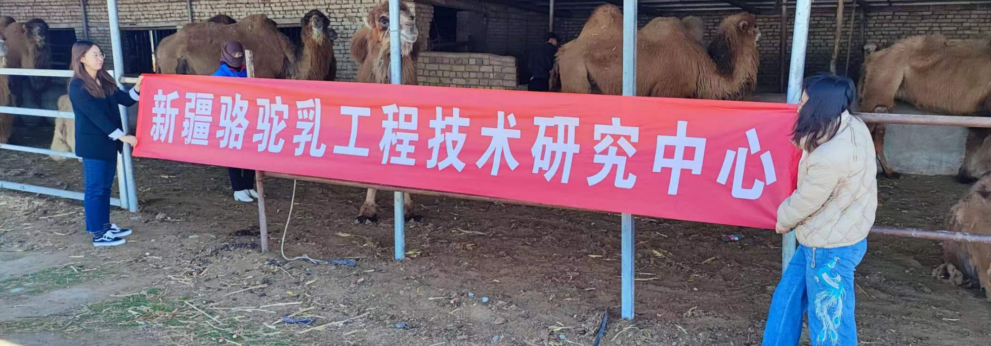 图片22.png