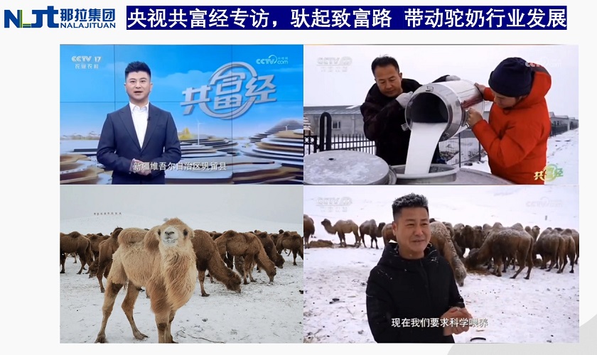 微信截图_20240507154133.png