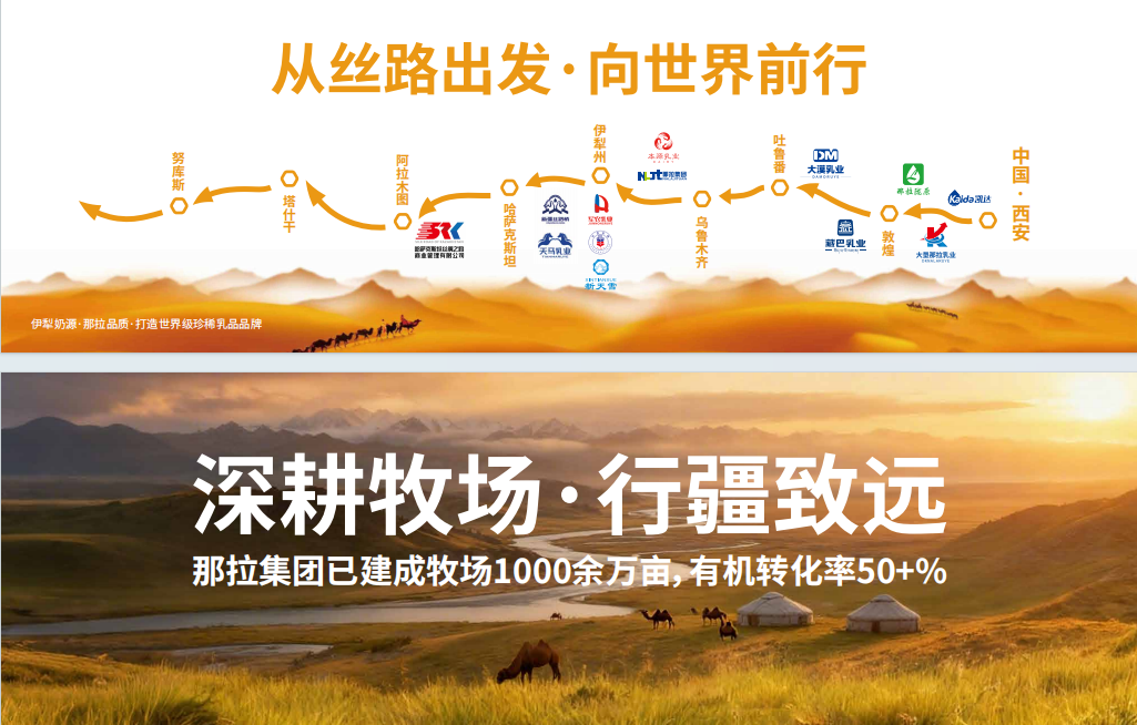 新疆奶业协会助阵那拉二十周年庆典 赋能骆驼奶千城万店战略